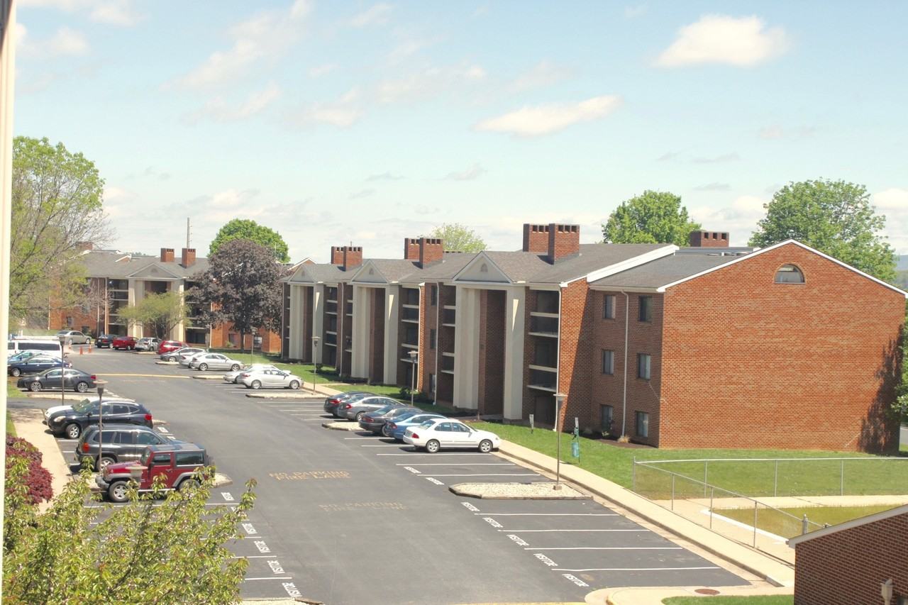 1010 Blue Ridge Dr - Photo 4 of 17