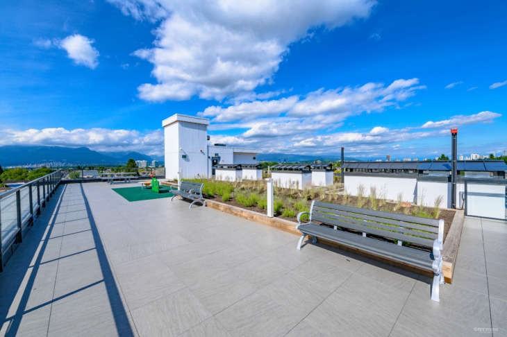 The Dalip - Photo 4 of 11