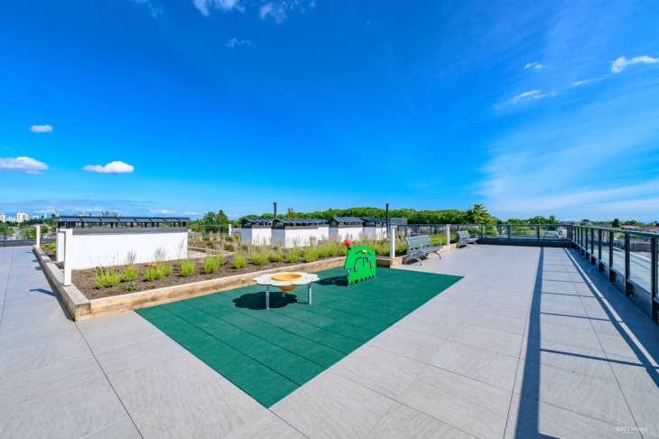 The Dalip - Photo 5 of 11