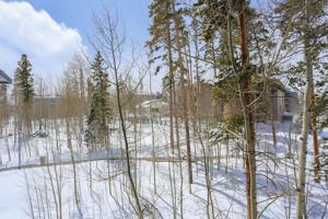 featured image of 307-A Treehouse