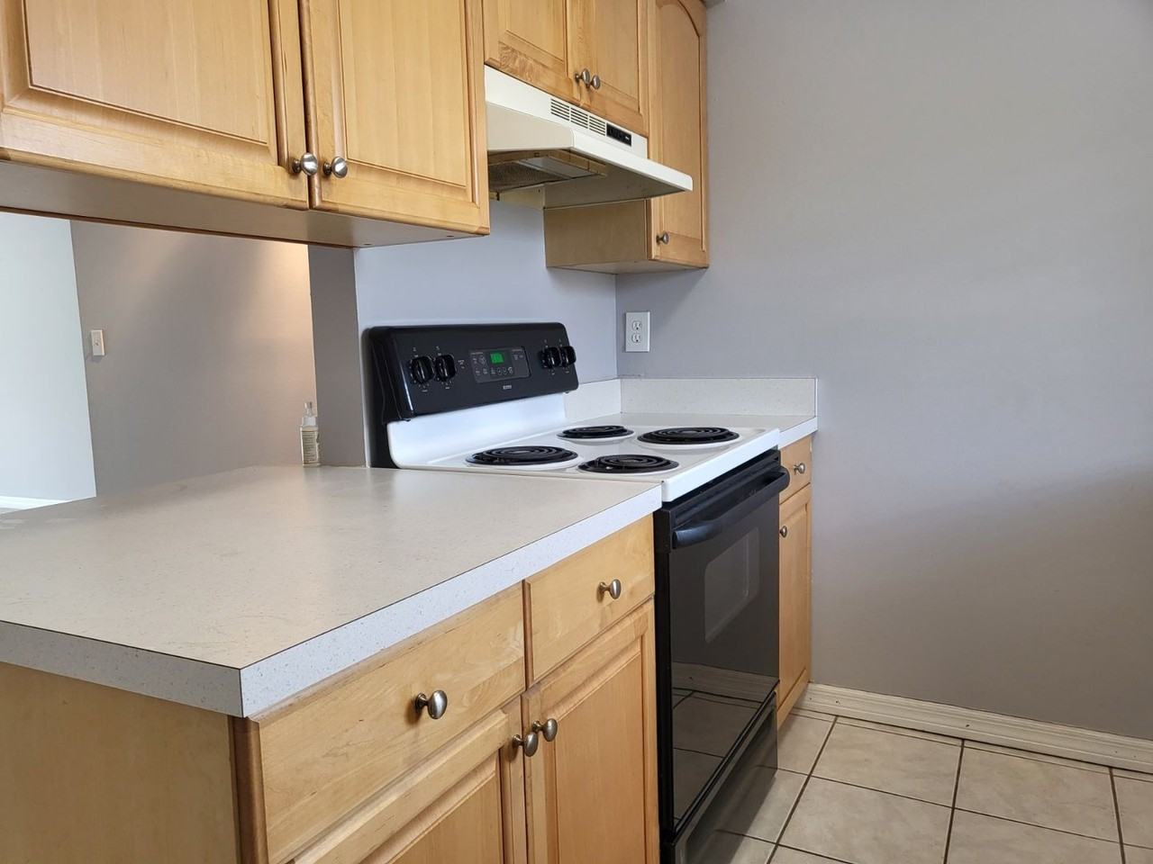 2721 Hidden Lake Blvd - Photo 3 of 26