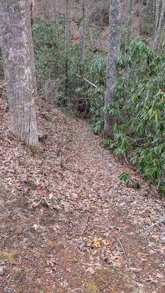 820 Middle Ridge Rd - Photo 4 of 38