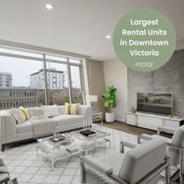 The Wedge Apartments - Photo 1 of 1