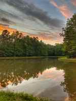 featured image of 175 Vibrant Way