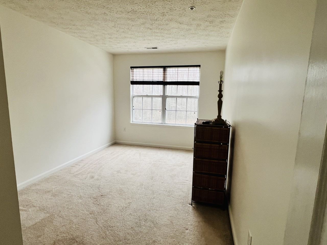 30 Ironstone Ct - Photo 7 of 12