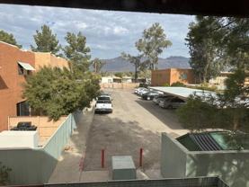 Palm Villas - Photo 1 of 1