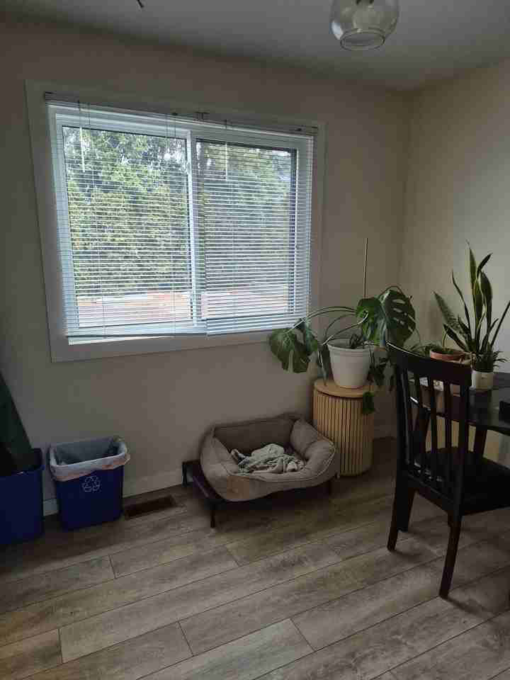 2686 Cameron Rd - Photo 6 of 10