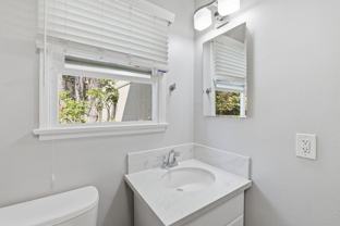 306 cazador - Photo 1 of 1