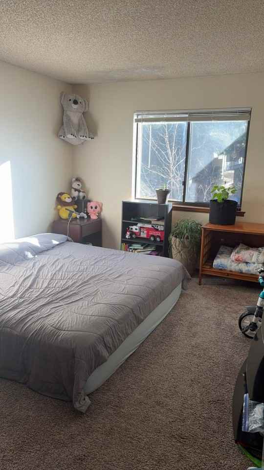 903 S Zeno Way #203 - Photo 7 of 8