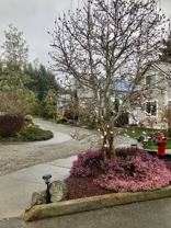 1510 Ne Mesford Rd - Photo 1 of 1