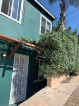 Curlew - Photo 1 of 1