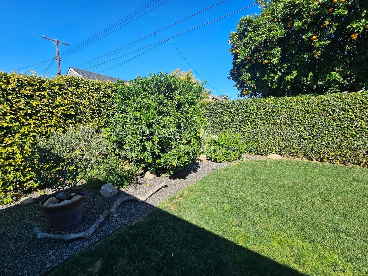 364 Broderick Ave - Photo 5 of 50