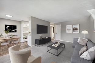 Spring Forest - Photo 1 of 1