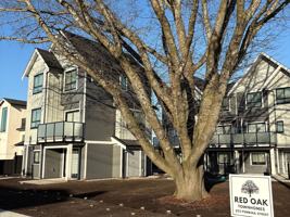 featured image of 203 Pembina Street #3