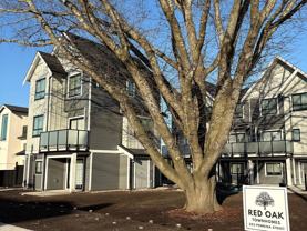 203 Pembina Street #3 - Photo 1 of 1