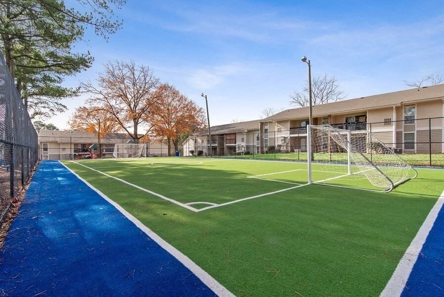 Tree Top - Photo 2 of 25