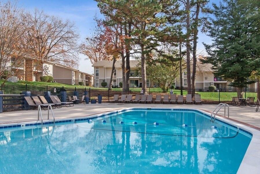 Tree Top - Photo 3 of 25