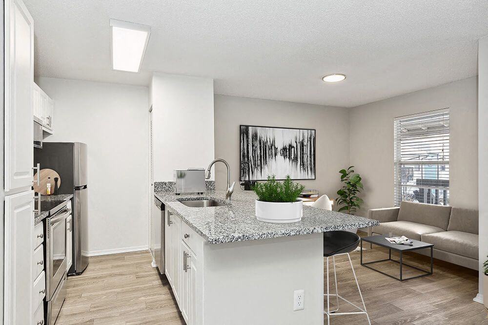 Seven Lakes at Carrollwood - Photo 6 of 35