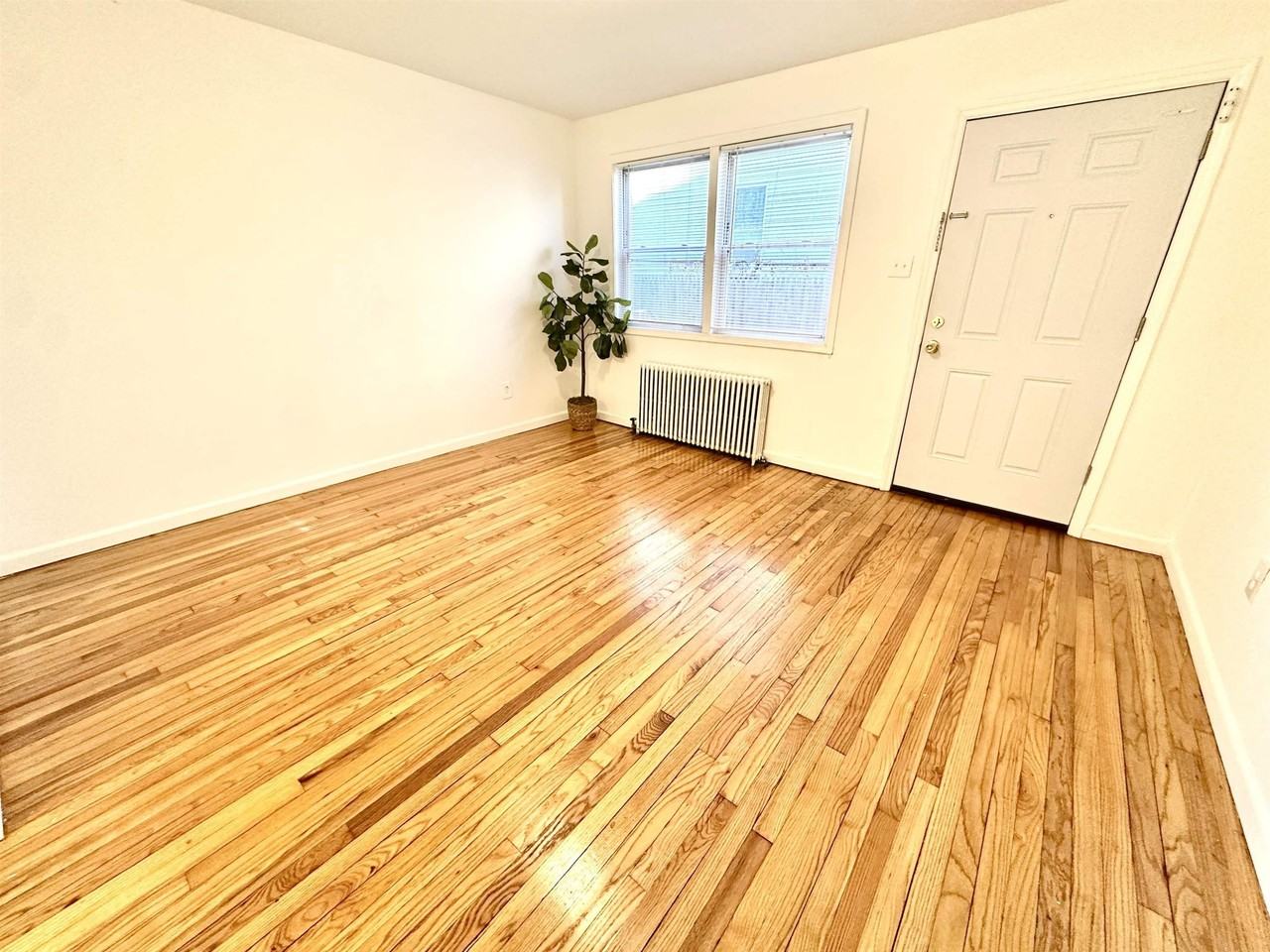 31 Tillinghast St #3 - Photo 3 of 17