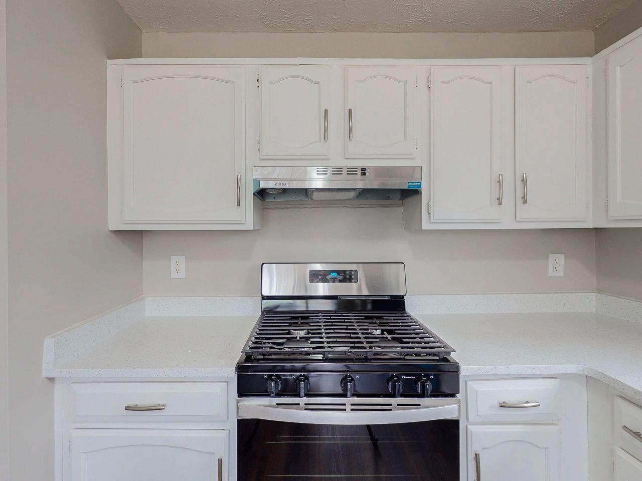 Forest Path - Photo 3 of 13