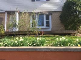 featured image of 1205 Bartlow St