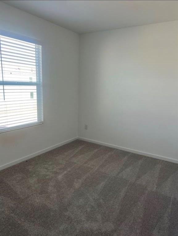 12132 Thoroughbred Dr - Photo 7 of 9