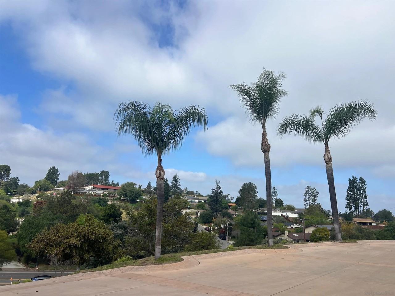 4849 Avocado Blvd - Photo 2 of 10