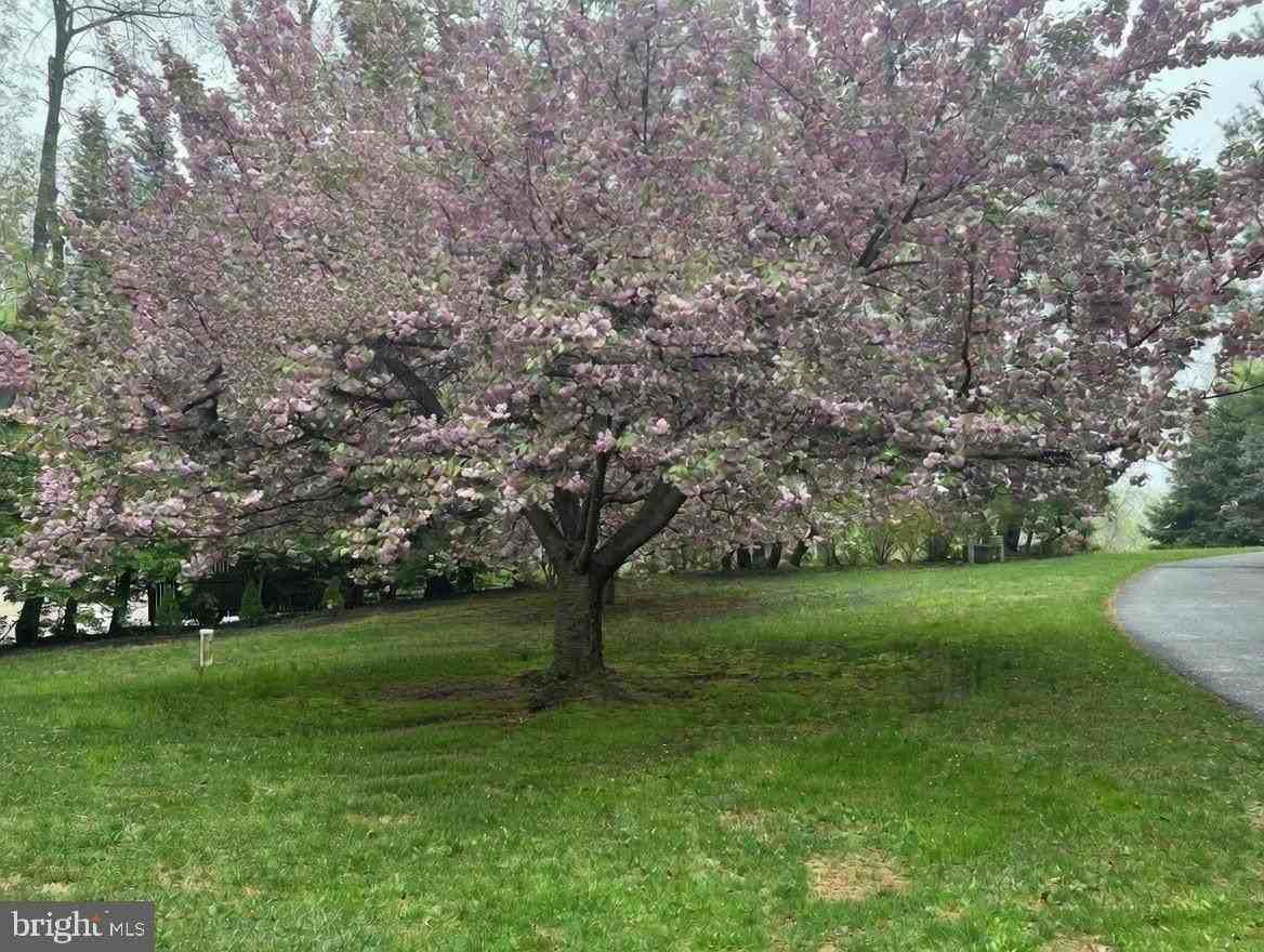 780 Link Dr - Photo 2 of 47