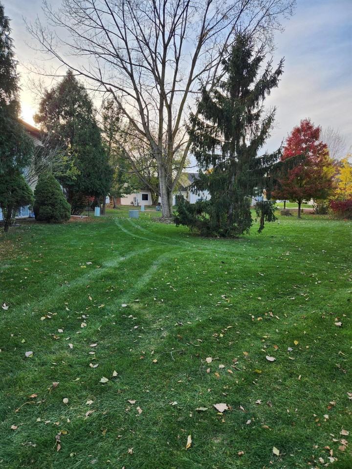 1920 David Dr - Photo 4 of 21