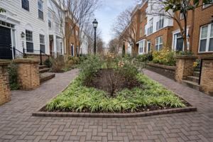 featured image of 2144 Little Sorrel Way