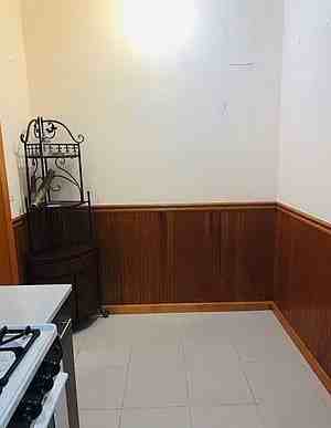 223 78th St #1F - Photo 3 of 17