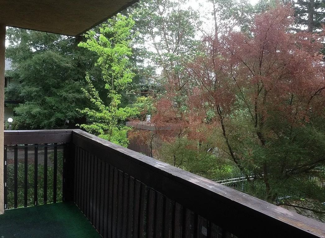 300 Los Alamos Rd #202 - Photo 7 of 12