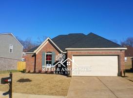 featured image of 4612 Orange Tulip Dr