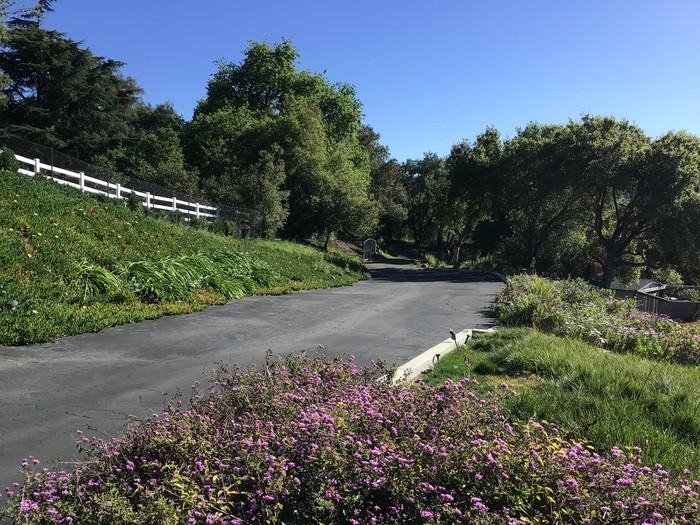 20675 View Oaks Way - Photo 2 of 47