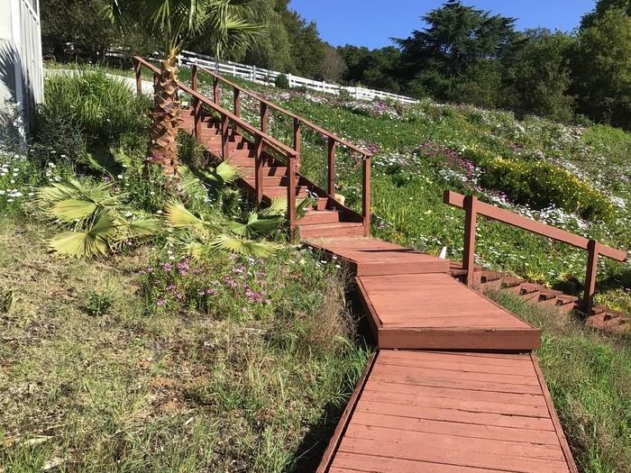 20675 View Oaks Way - Photo 7 of 47