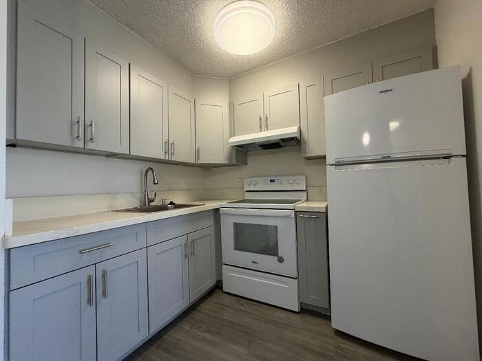 1125 Young St - Photo 3 of 5