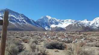 2906 Indian Creek Dr - Photo 1 of 1