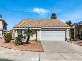 featured image of 1413 Braided Mane Cir