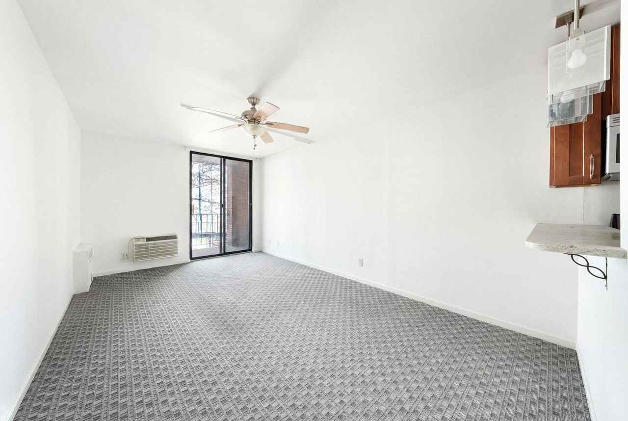 430 E 77th St Apt 3c - Photo 4 of 21