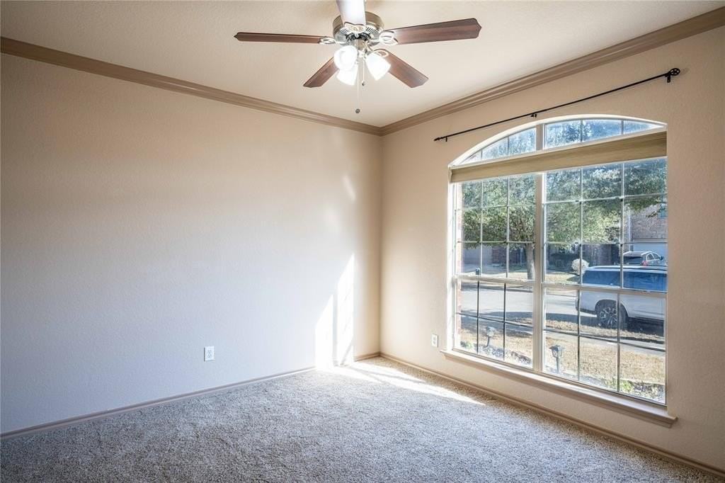 3224 Stonecrop Trl - Photo 7 of 15