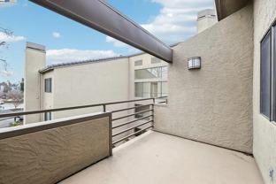 39224 Guardino Dr #310 - Photo 1 of 1