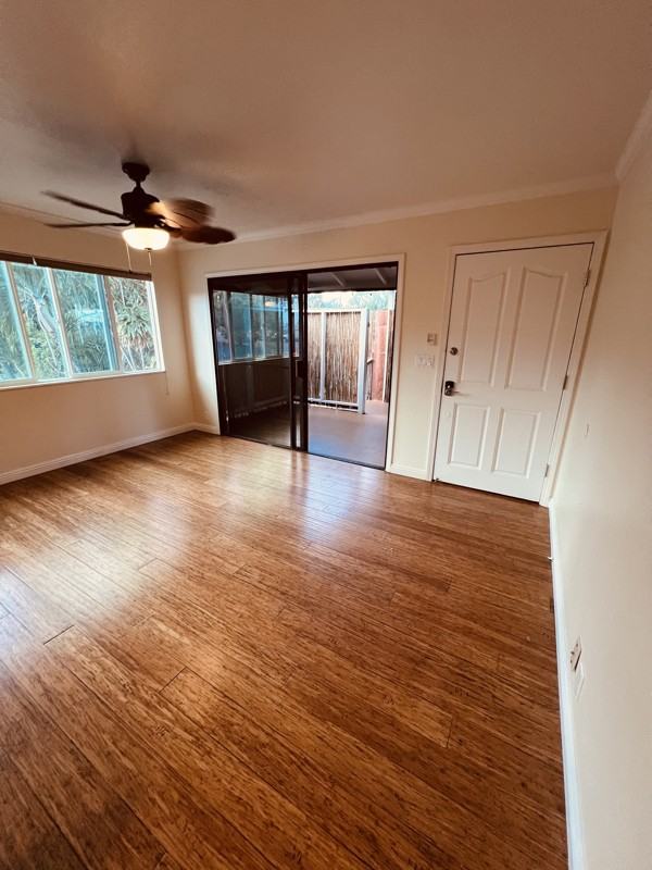 293 Alaume St - Photo 7 of 19