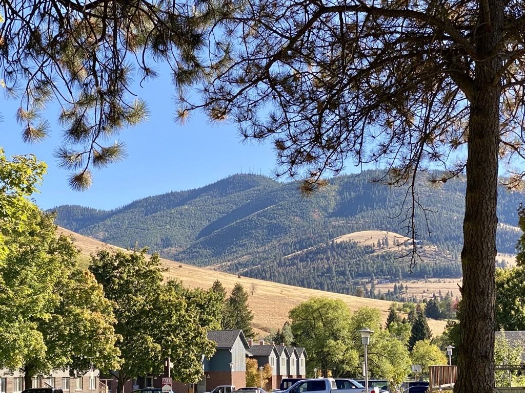 520 South Ave E - Photo 4 of 15