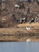 1641 Winona Ct - Photo 1 of 1