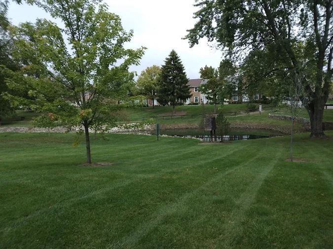 501 Clairbrook Ave - Photo 4 of 20