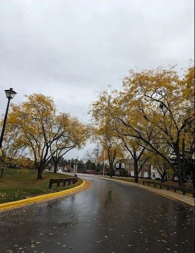 501 Clairbrook Ave - Photo 5 of 20