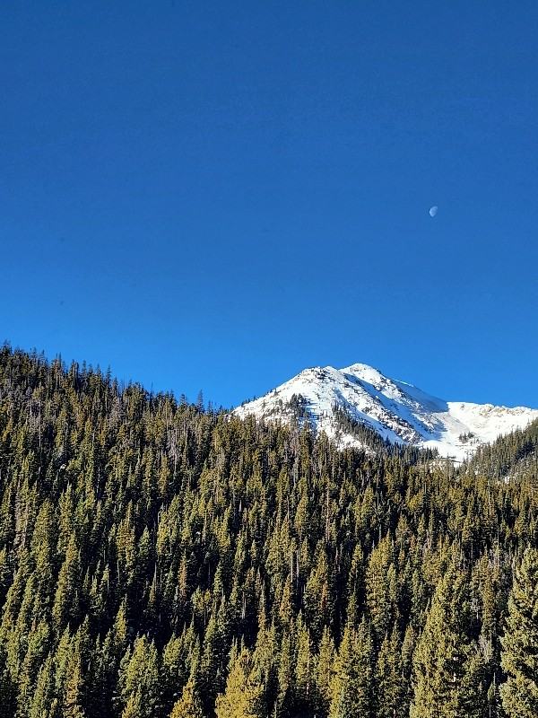 146 Yonley St - Photo 6 of 15