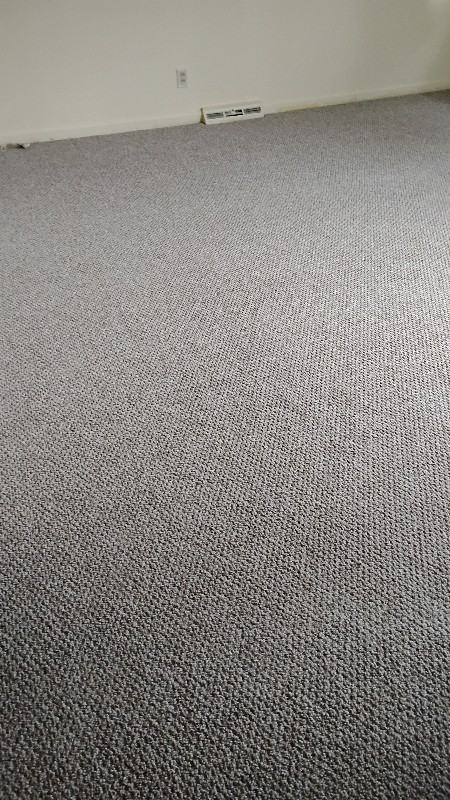 409 Hemingway St - Photo 5 of 9