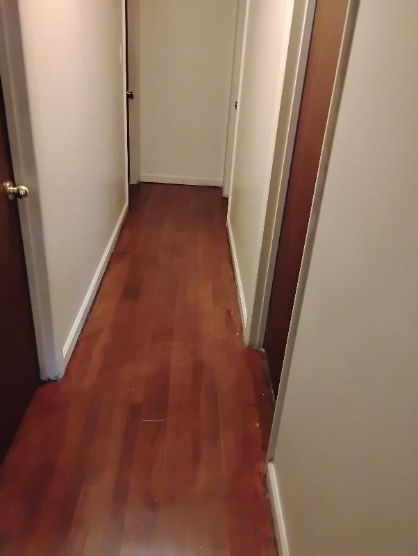 409 Hemingway St - Photo 6 of 9