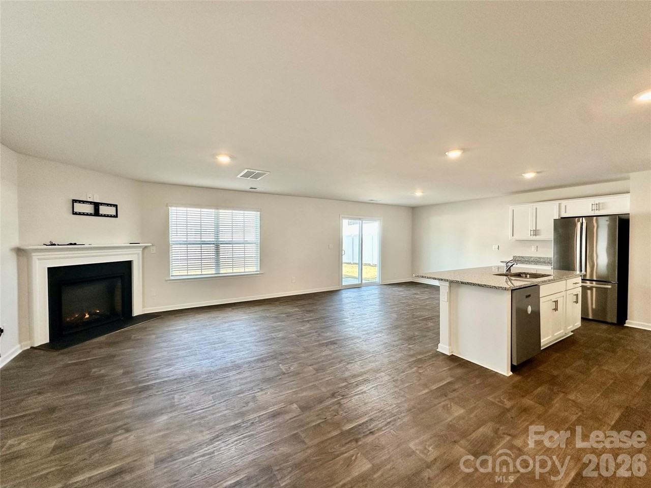 1603 Blue Velvet Ln - Photo 4 of 37